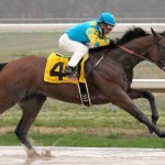 031715-horses-American-Pharoah-pi-mp.vadapt.620.high.0